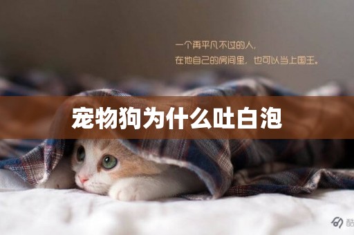 寵物狗為什么吐白泡