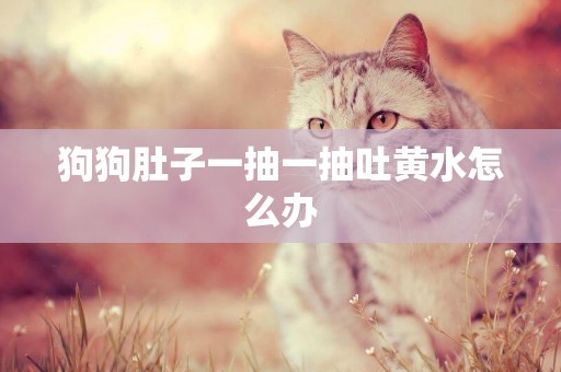 狗狗肚子一抽一抽吐黃水怎么辦