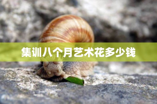 集訓八個月藝術花多少錢