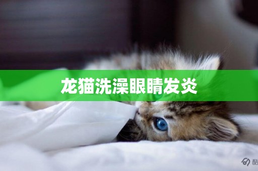 龍貓洗澡眼睛發炎
