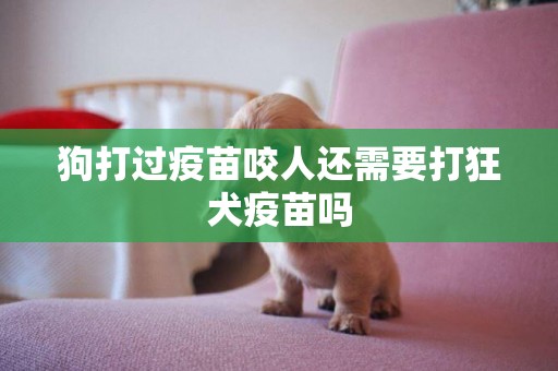狗打過疫苗咬人還需要打狂犬疫苗嗎
