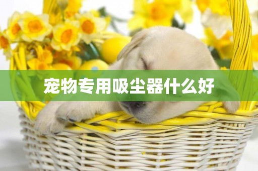 寵物專用吸塵器什么好