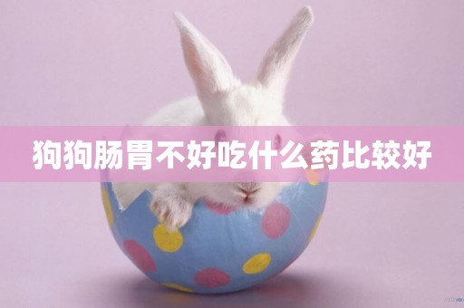 狗狗腸胃不好吃什么藥比較好