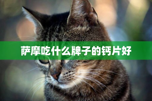 薩摩吃什么牌子的鈣片好