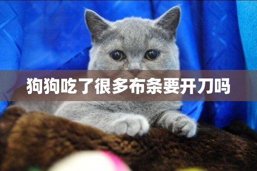 狗狗吃了很多布條要開刀嗎