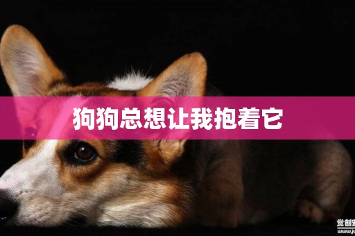 狗狗總想讓我抱著它