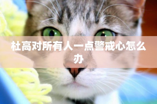 杜高對所有人一點警戒心怎么辦