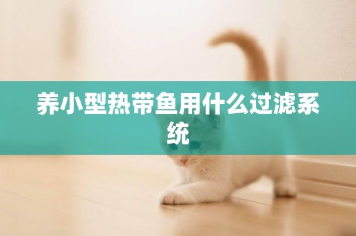 養小型熱帶魚用什么過濾系統
