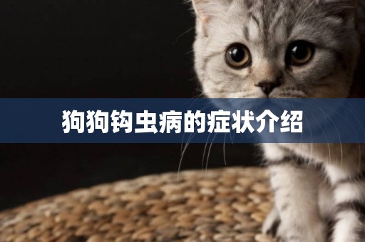 狗狗鉤蟲病的癥狀介紹