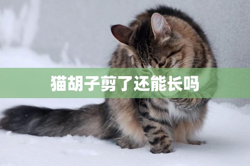 貓胡子剪了還能長嗎
