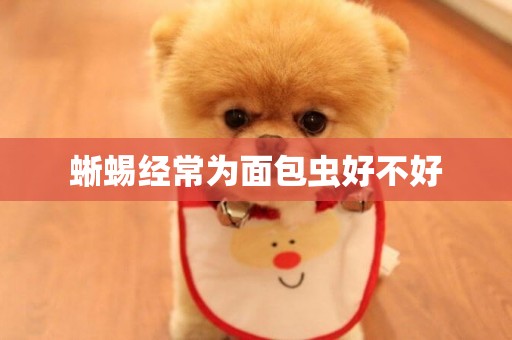 蜥蜴經常為面包蟲好不好