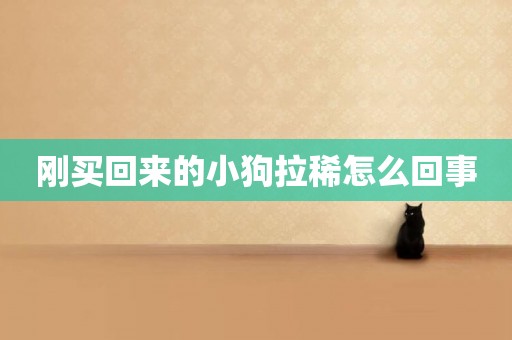 剛買回來的小狗拉稀怎么回事