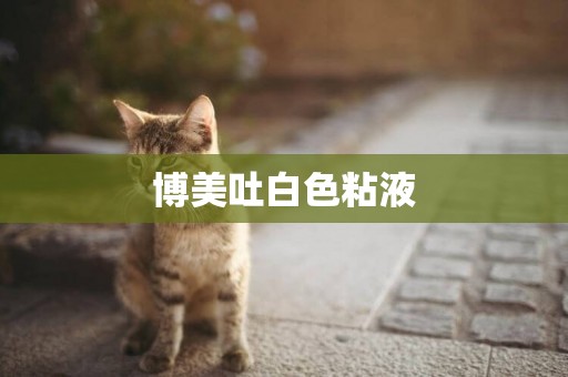 博美吐白色粘液