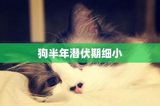 狗半年潛伏期細小