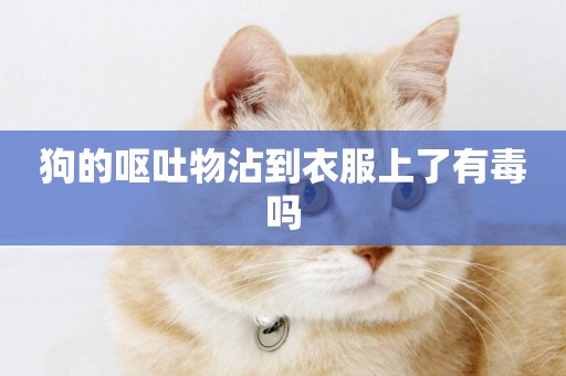 狗的嘔吐物沾到衣服上了有毒嗎