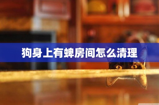 狗身上有蜱房間怎么清理