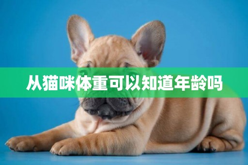 從貓咪體重可以知道年齡嗎