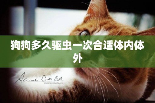 狗狗多久驅蟲一次合適體內體外
