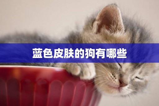 藍色皮膚的狗有哪些