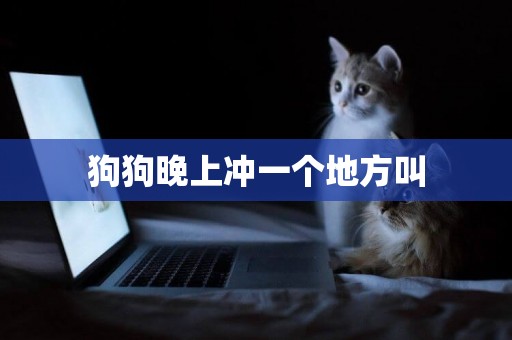 狗狗晚上沖一個地方叫