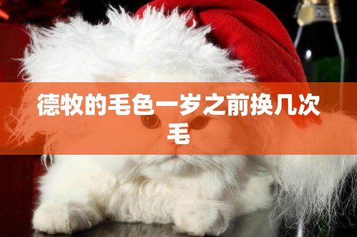 德牧的毛色一歲之前換幾次毛