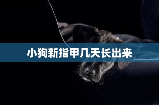 小狗新指甲幾天長出來