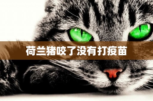 荷蘭豬咬了沒有打疫苗