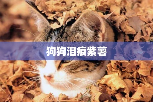 狗狗淚痕紫薯
