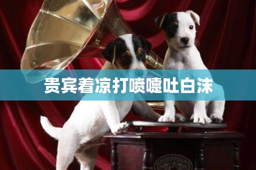 貴賓著涼打噴嚏吐白沫