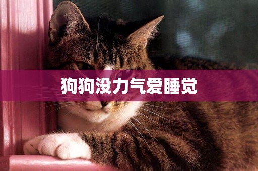 狗狗沒力氣愛睡覺