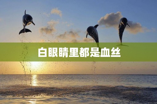 白眼睛里都是血絲