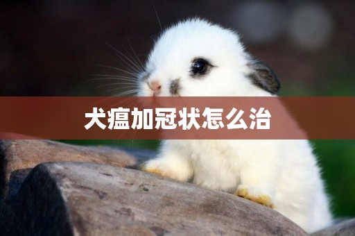 犬瘟加冠狀怎么治