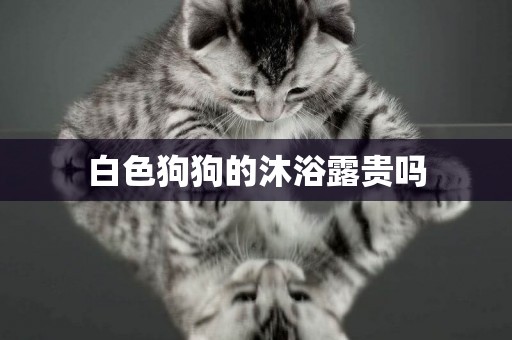 白色狗狗的沐浴露貴嗎