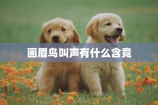 畫眉鳥叫聲有什么含竟