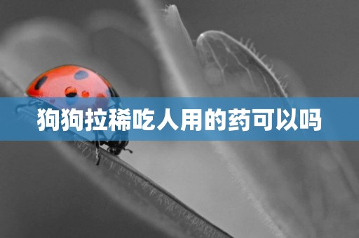 狗狗拉稀吃人用的藥可以嗎
