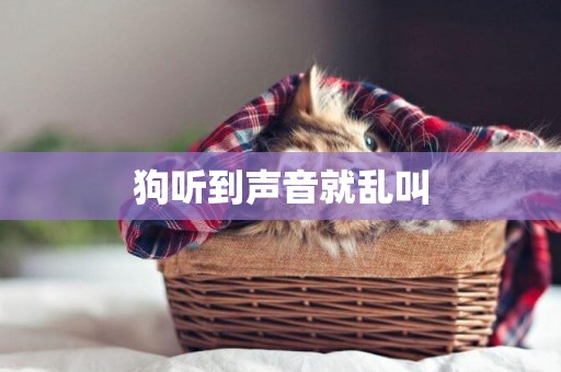 狗聽到聲音就亂叫