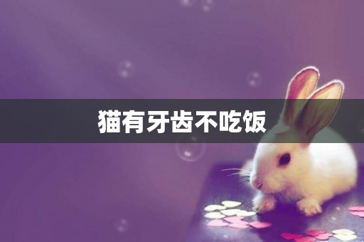 貓有牙齒不吃飯