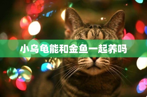 小烏龜能和金魚一起養嗎