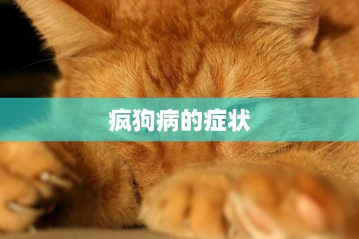 瘋狗病的癥狀