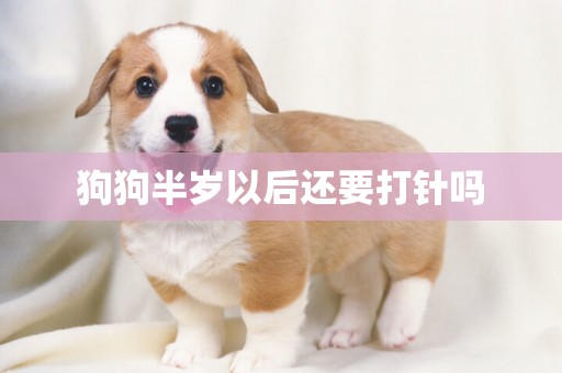 狗狗半歲以后還要打針嗎