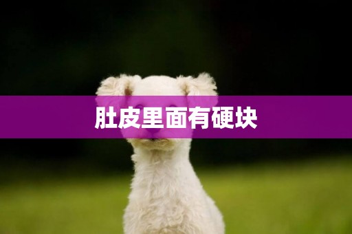 肚皮里面有硬塊