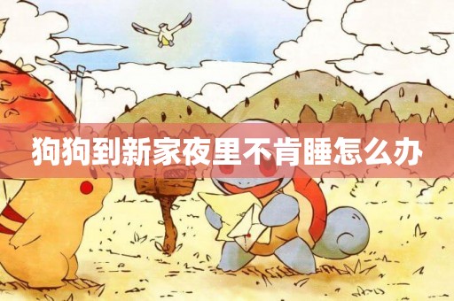 狗狗到新家夜里不肯睡怎么辦