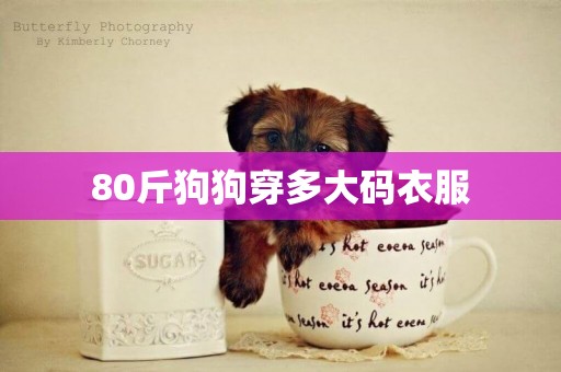 80斤狗狗穿多大碼衣服