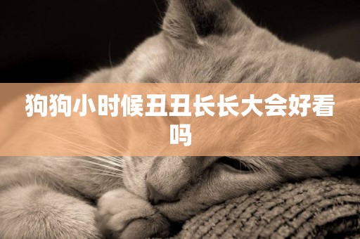 狗狗小時候丑丑長長大會好看嗎