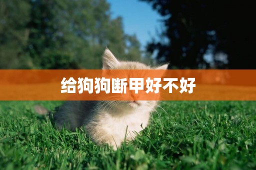 給狗狗斷甲好不好