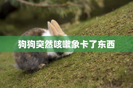 狗狗突然咳嗽象卡了東西
