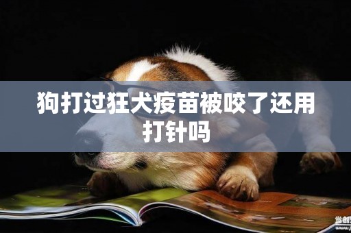 狗打過狂犬疫苗被咬了還用打針嗎