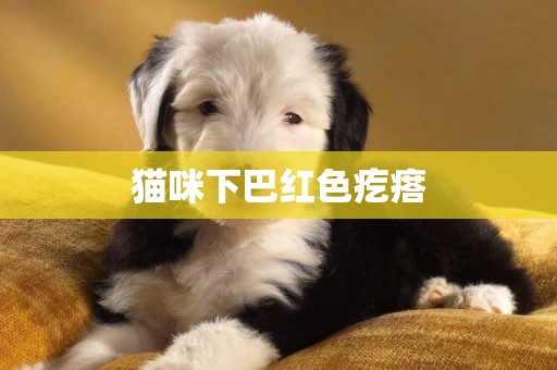 貓咪下巴紅色疙瘩