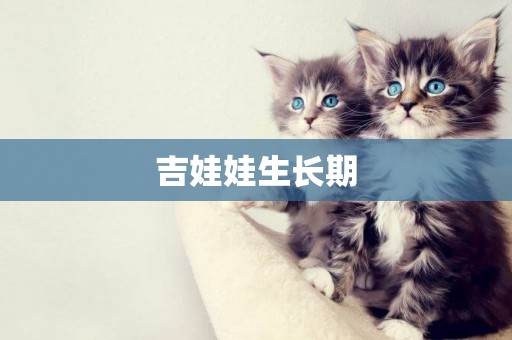 吉娃娃生長期