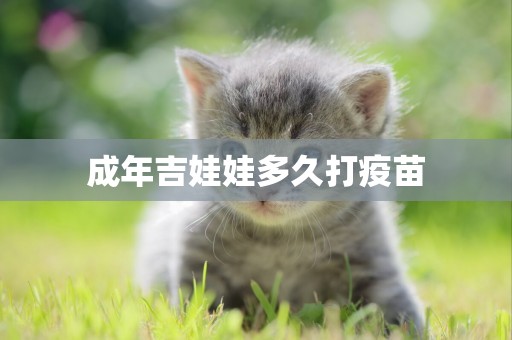 成年吉娃娃多久打疫苗